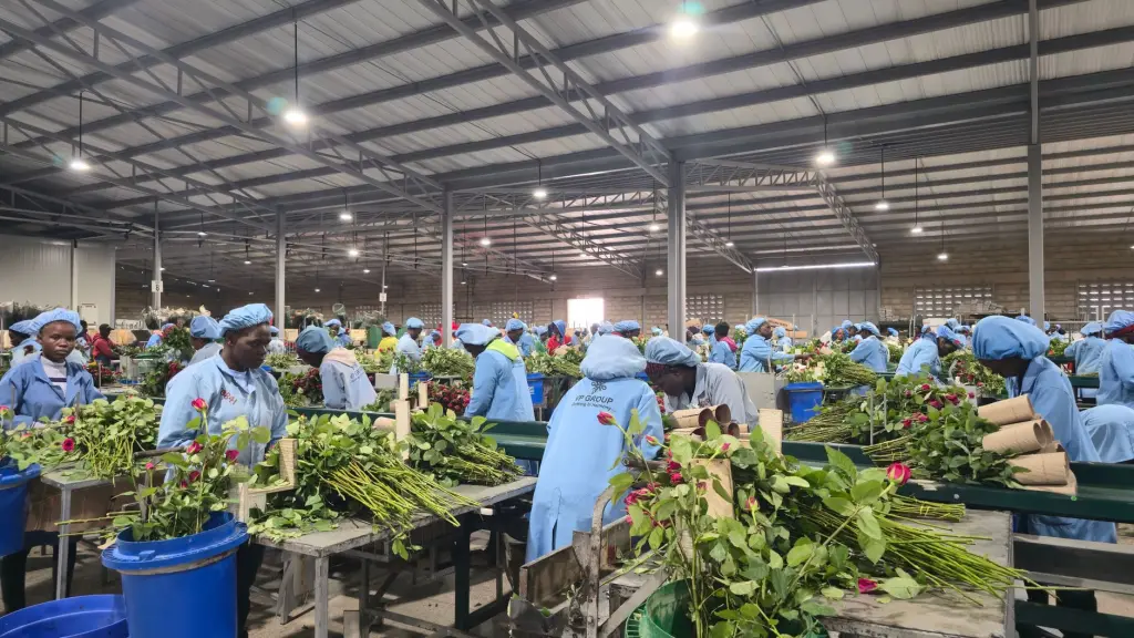 凌乐凡护士站终端在病房信息化改造中的部署方案