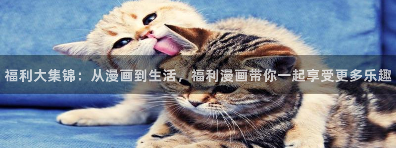 漫蛙下载官网正版